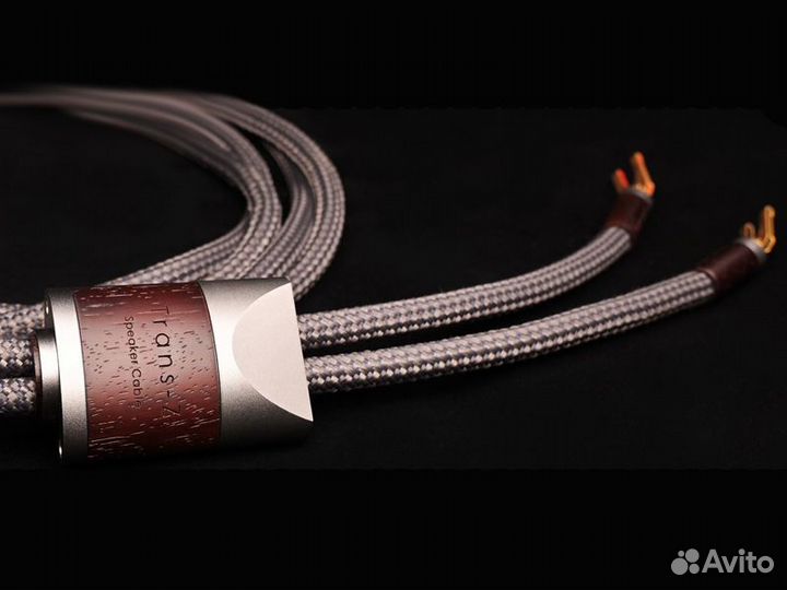 Divini Audio trans-Z 7N OCC Speaker Cable 2.5m