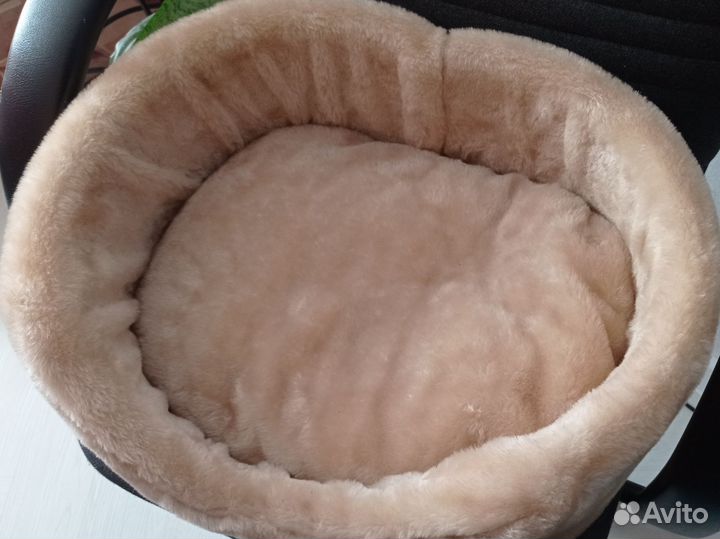 Лежанка