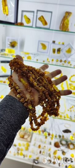 Янтарный Жук