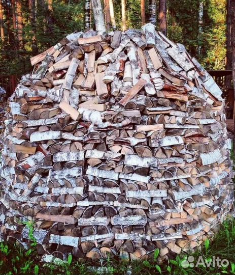 Дрова береза