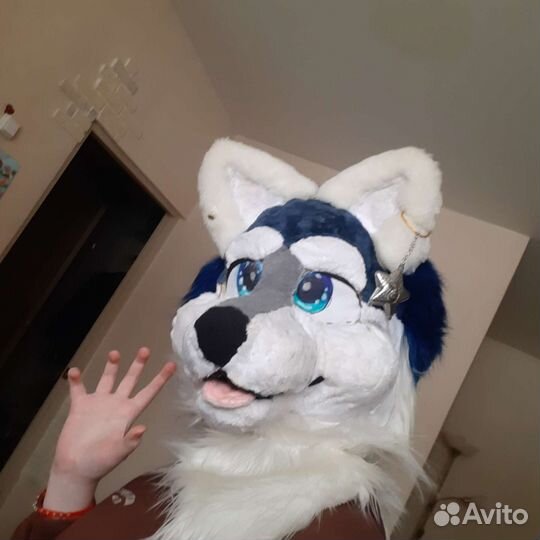 Фурсьют волка