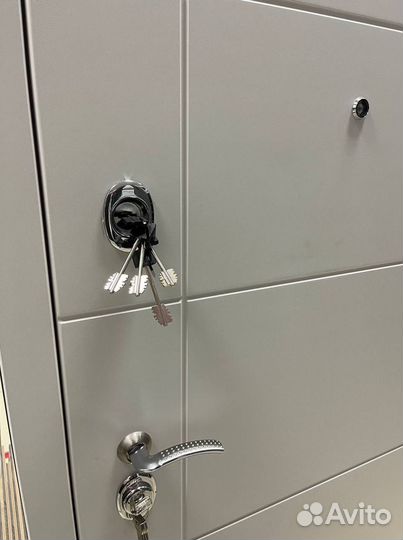 Дверь металлическая