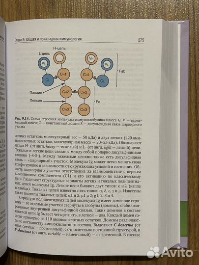 Медицинская микробиология Зверев