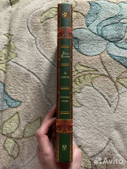 Эрин Хантер - Коты-Воители. Лес Секретов