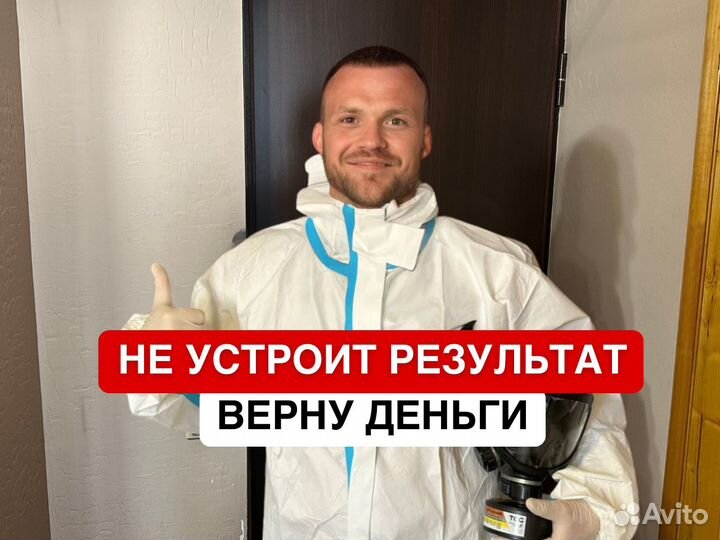 Уничтожение тараканов обработка от клещей