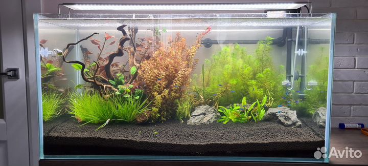 Аквариум комплект