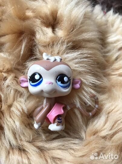 Животные LPS