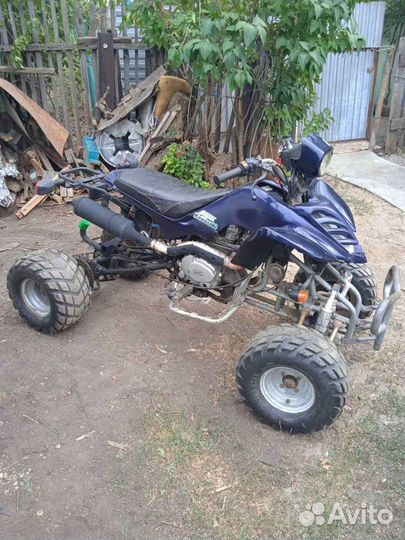 Shineray XY200stii Patron Scaner