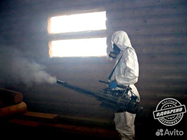 Уничтожение клопов тараканов дезинфекция плесени