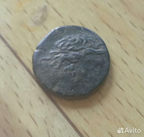 Тетрахалк Синопа