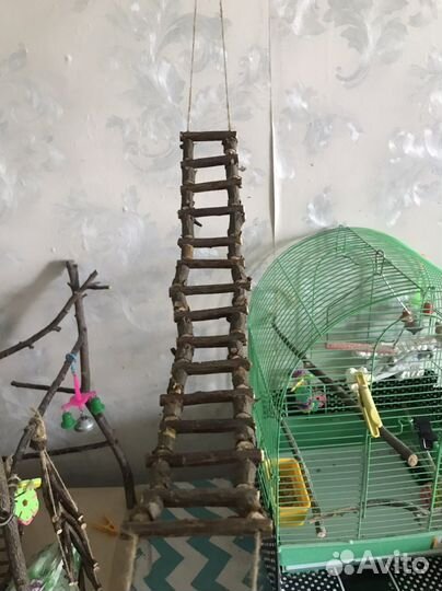 Лесенка для попугаев и грызунов