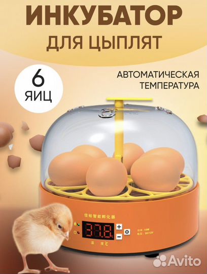 Инкубатор для яиц