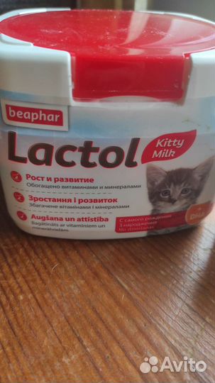 Сухое молоко для котят