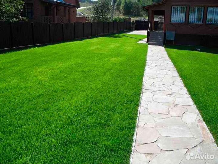 Рулонный газон напрямую от производителя