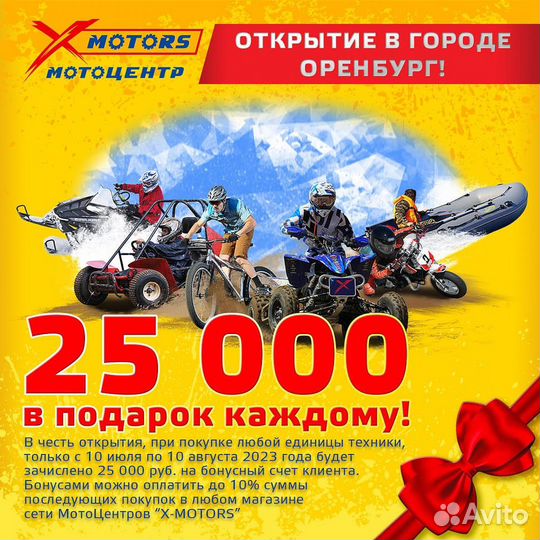 Квадроцикл promax storm 300сс В черном цвете