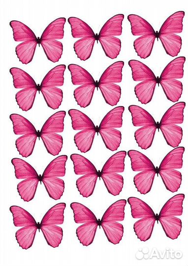 Букет из бабочек