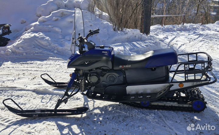 Динго 150 год 2018