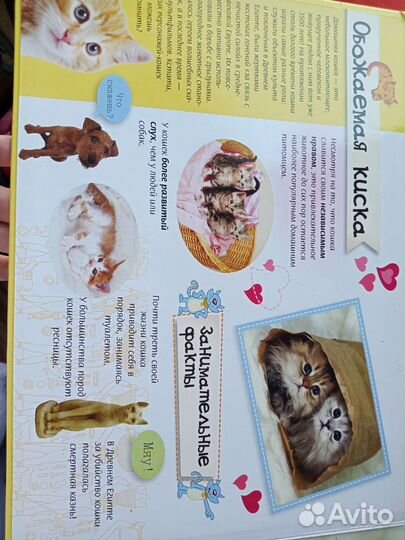 Книга пазл про котят богатое издание