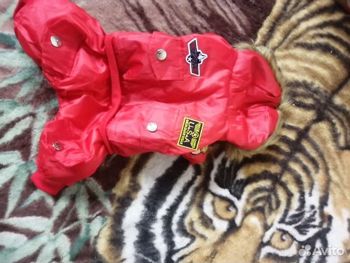 Одежда для маленьких собак зима