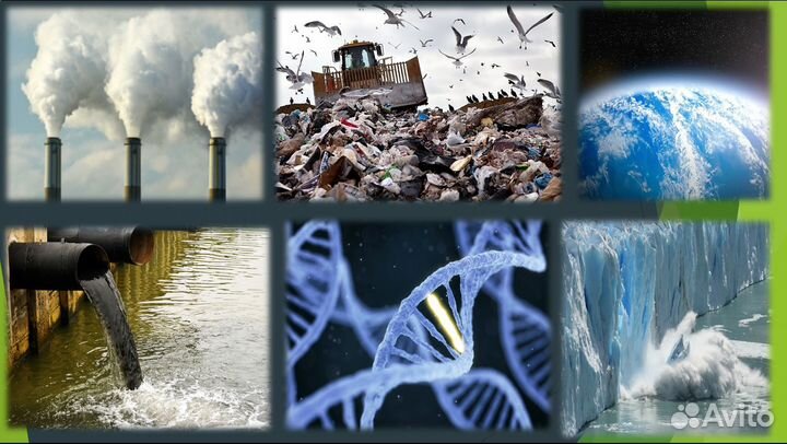 Школьный проект 