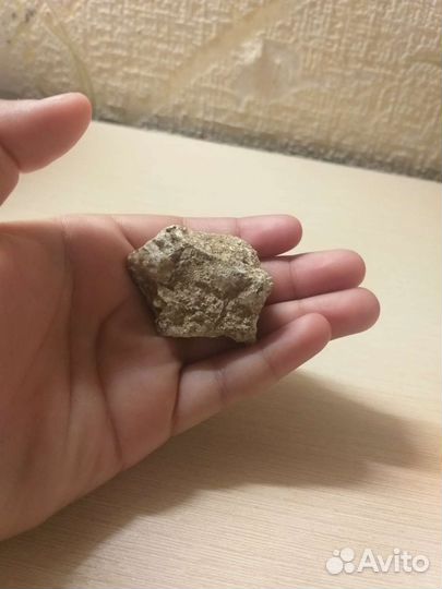 Древние молекула в камне