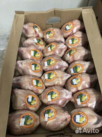 Цыплята бройлеры мясо