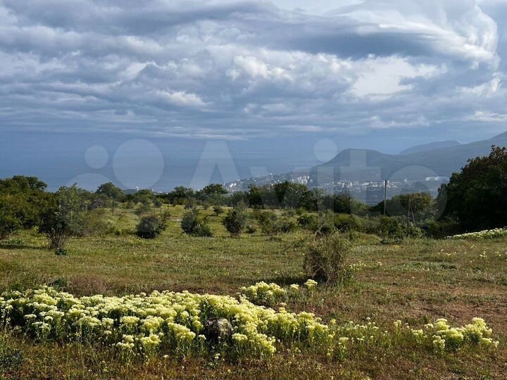 Участок 1,23 га (ИЖС)