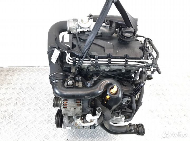 Двигатель Audi A3 8P 1.9 TDI 2007