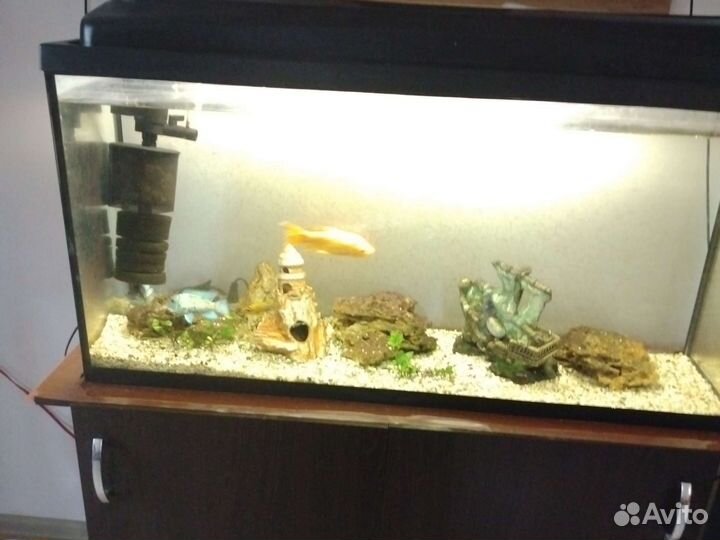 Аквариум 150 литров с тумбой