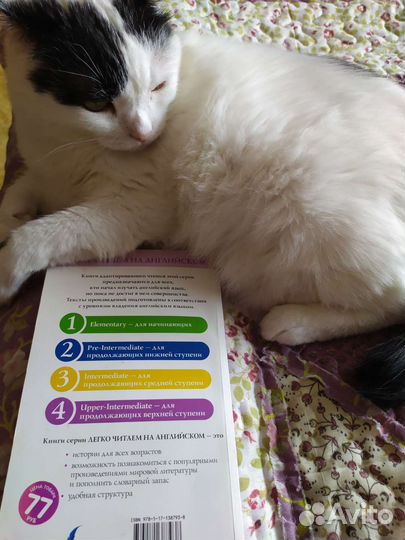 Призрак оперы на английском языке