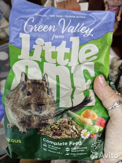 Корм для дегу