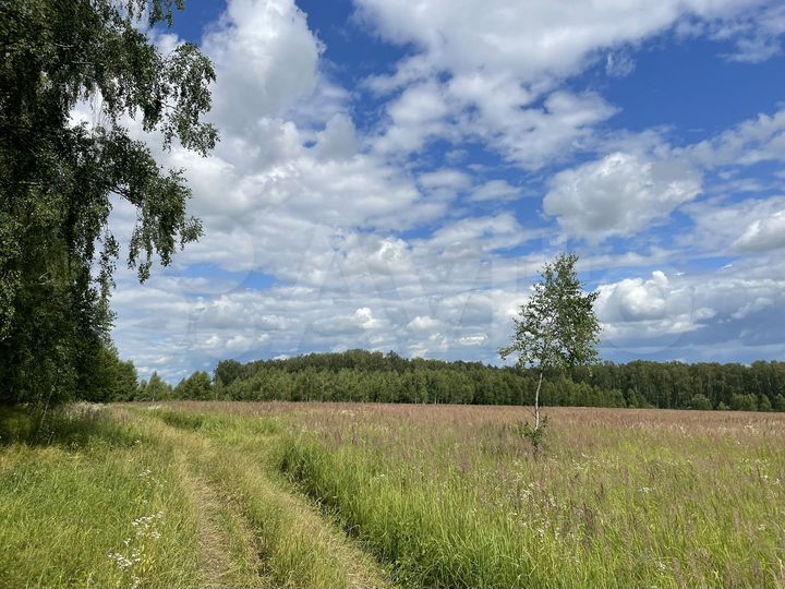 Участок 11,5 га (СНТ, ДНП)