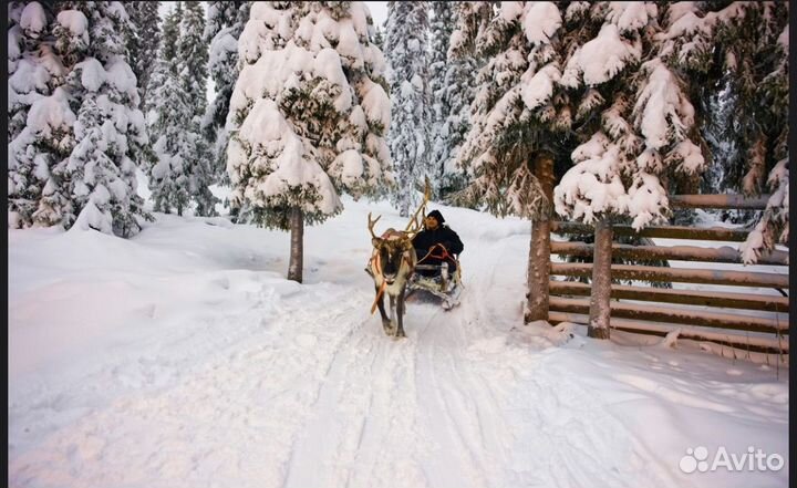 Гран-тур по Карелии и поездка на ретро-поезде