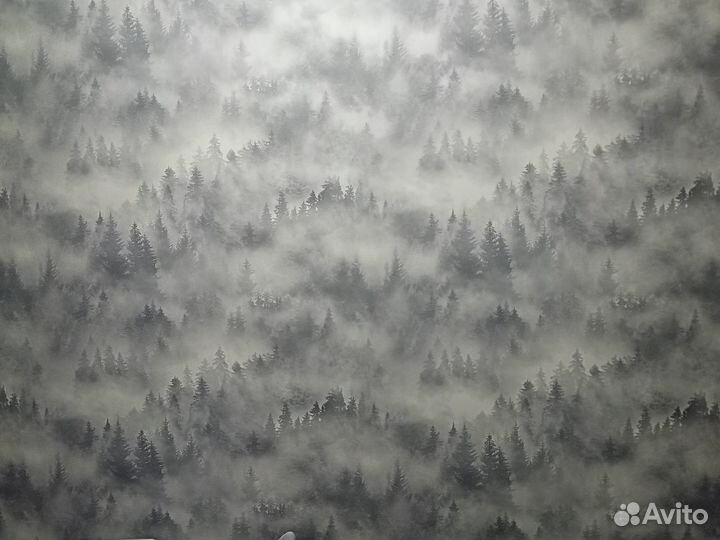 Штукатур маляр