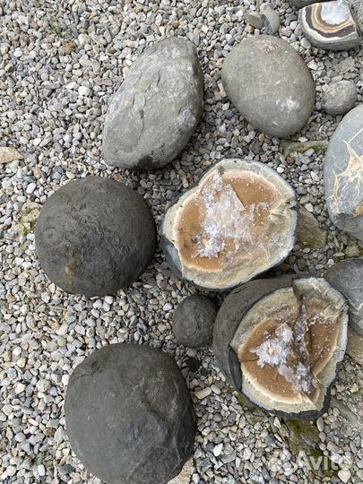 Камень Септария