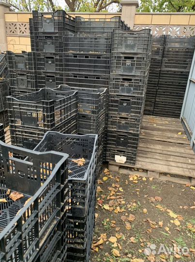 Ящик пластиковый