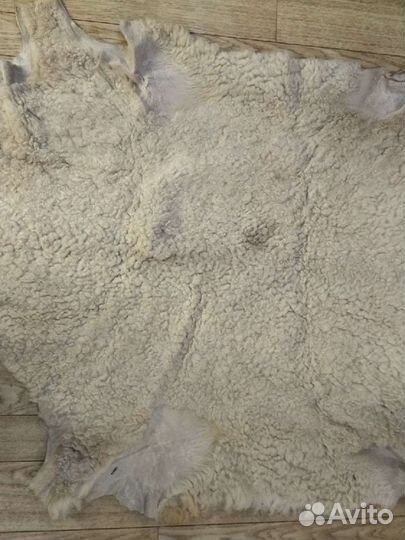 Шкура овчина