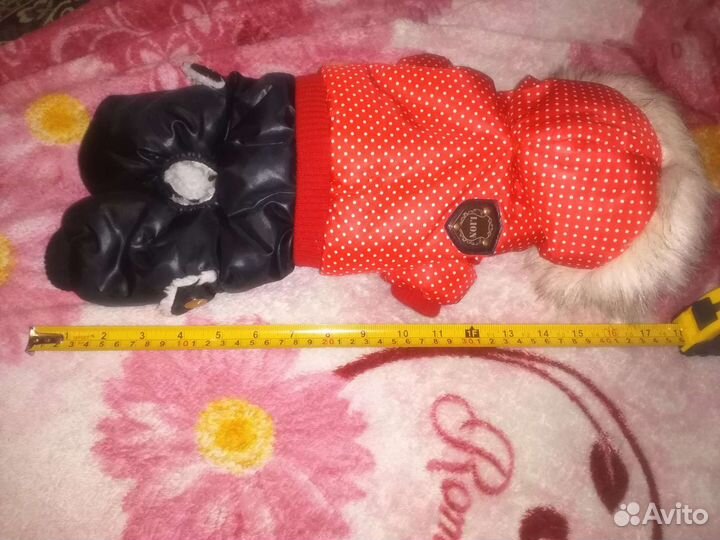 Одежда для собак