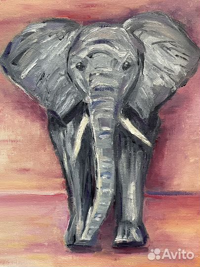 Картина маслом на холсте Слон