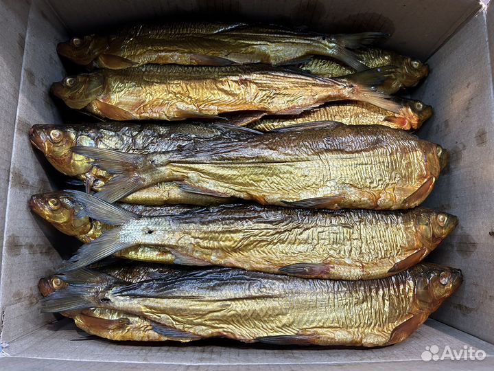 Сиг горячего-копчения