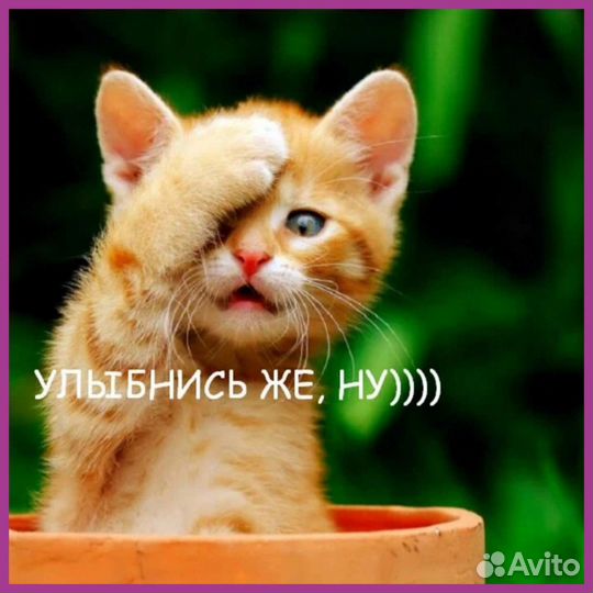 Афганский казан оптом