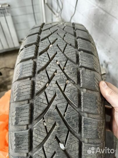 Windforce Snowblazer 185/65 R15 88H