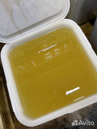 Свежий донниковый мёд. Качка 2023 Оптом