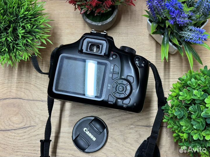 Canon EOS 4000d 18-55 mm