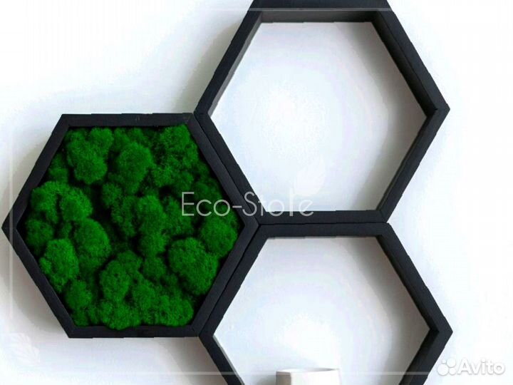 Полка сота из мха без подсветки
