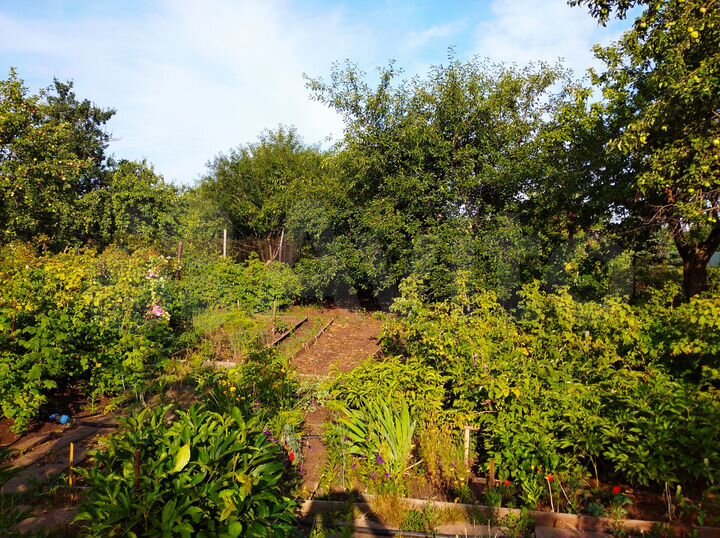 Дача 16,7 м² на участке 6 сот.