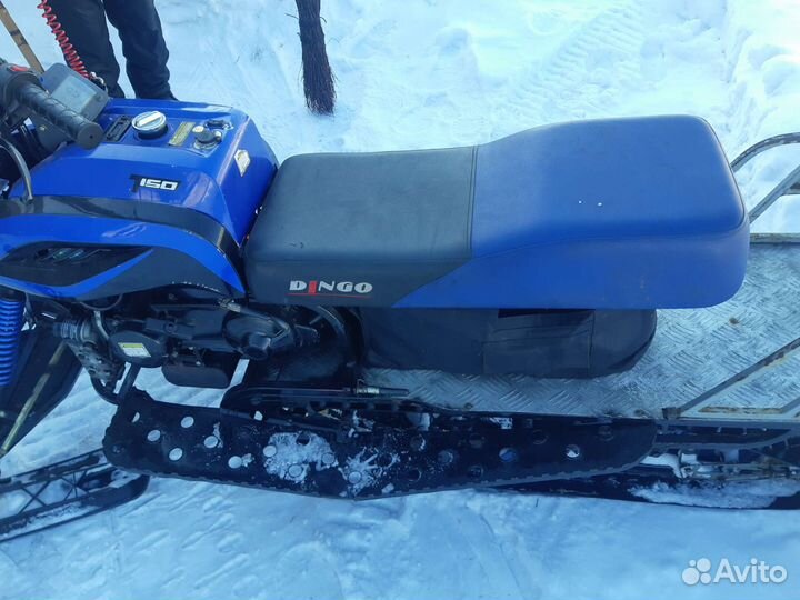 Динго 150