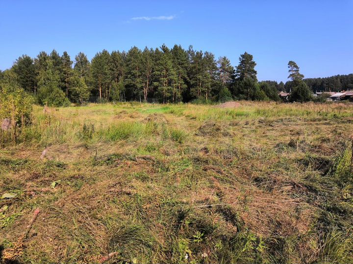 Участок 20 сот. (ИЖС)