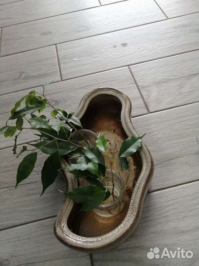 Керамические горшки для цветов бу