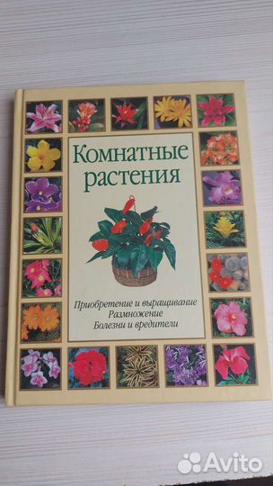 Комнатные растения